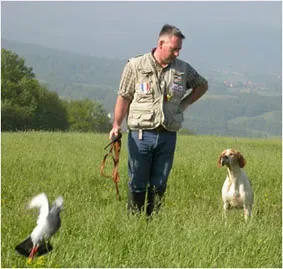 Après le dressage : Maintenir les acquis avec votre chien de chasse