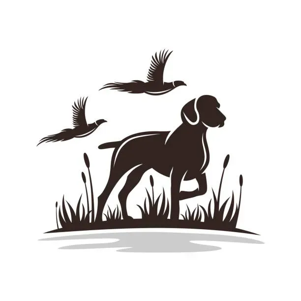 Astuces pour un dessin de chien de chasse facile et expressif