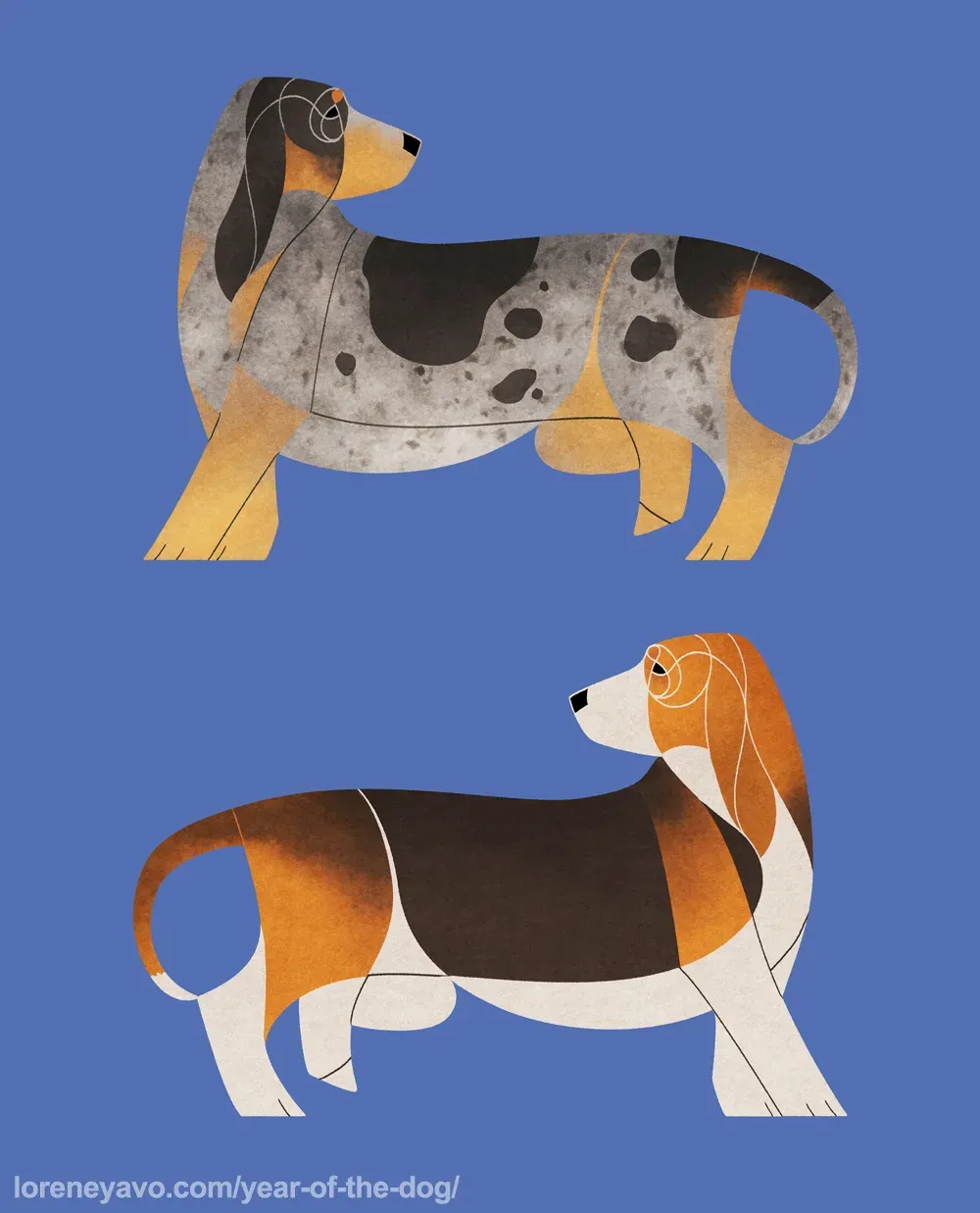 Basset chien de chasse : Caractéristiques et soins essentiels