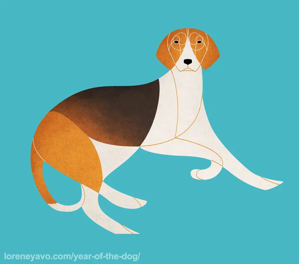 Beagle chien de chasse : Le guide ultime
