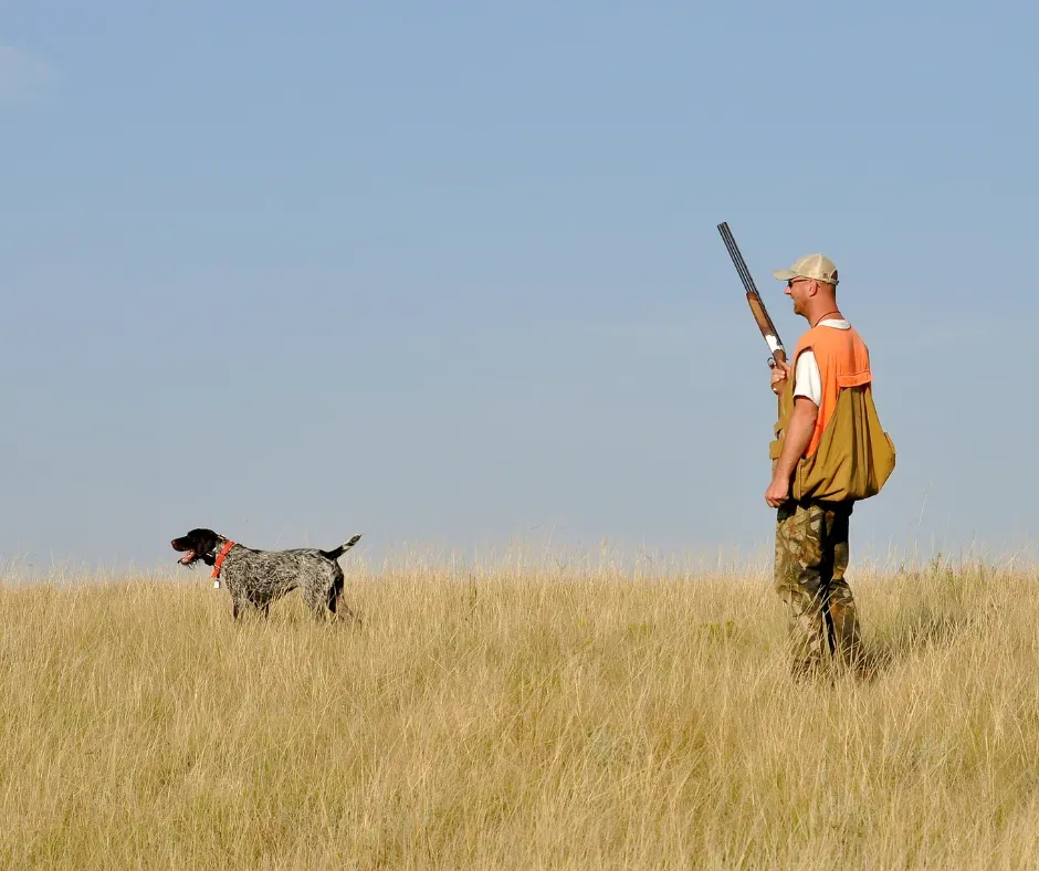 Chasse des animaux : Une pratique fascinante ou brutale ?