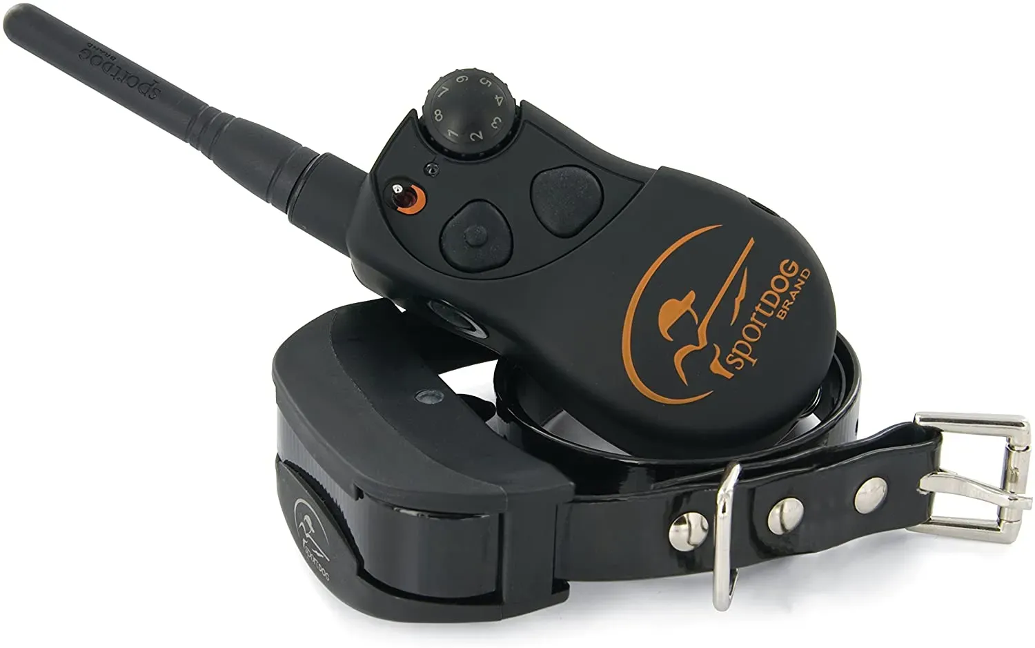 Maîtrise Essentielle avec collier de dressage pour chien de chasse