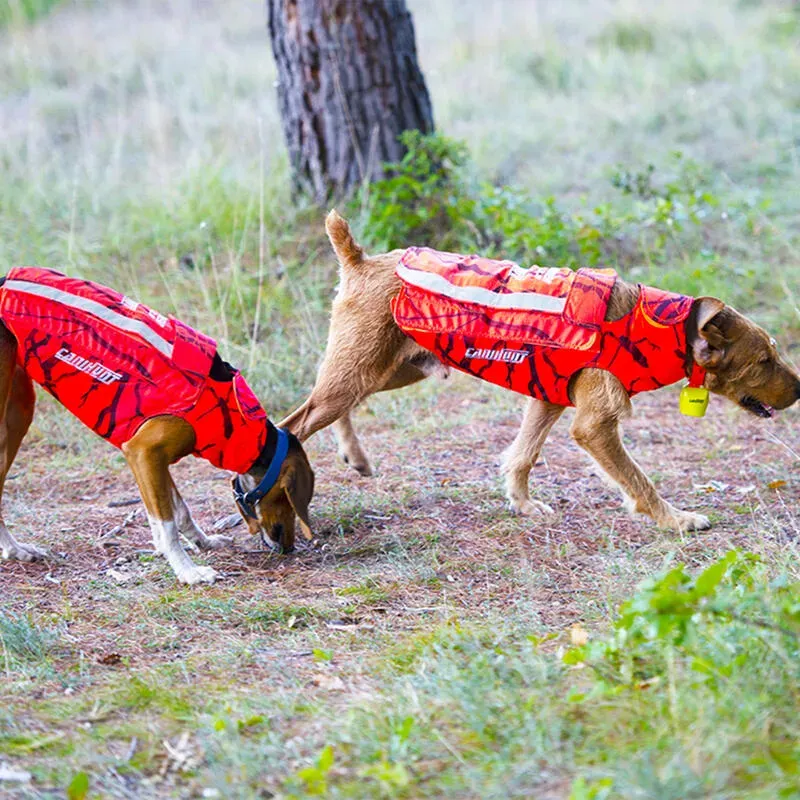 Comment choisir et ajuster le gilet de protection pour chien de chasse au sanglier Decathlon ?