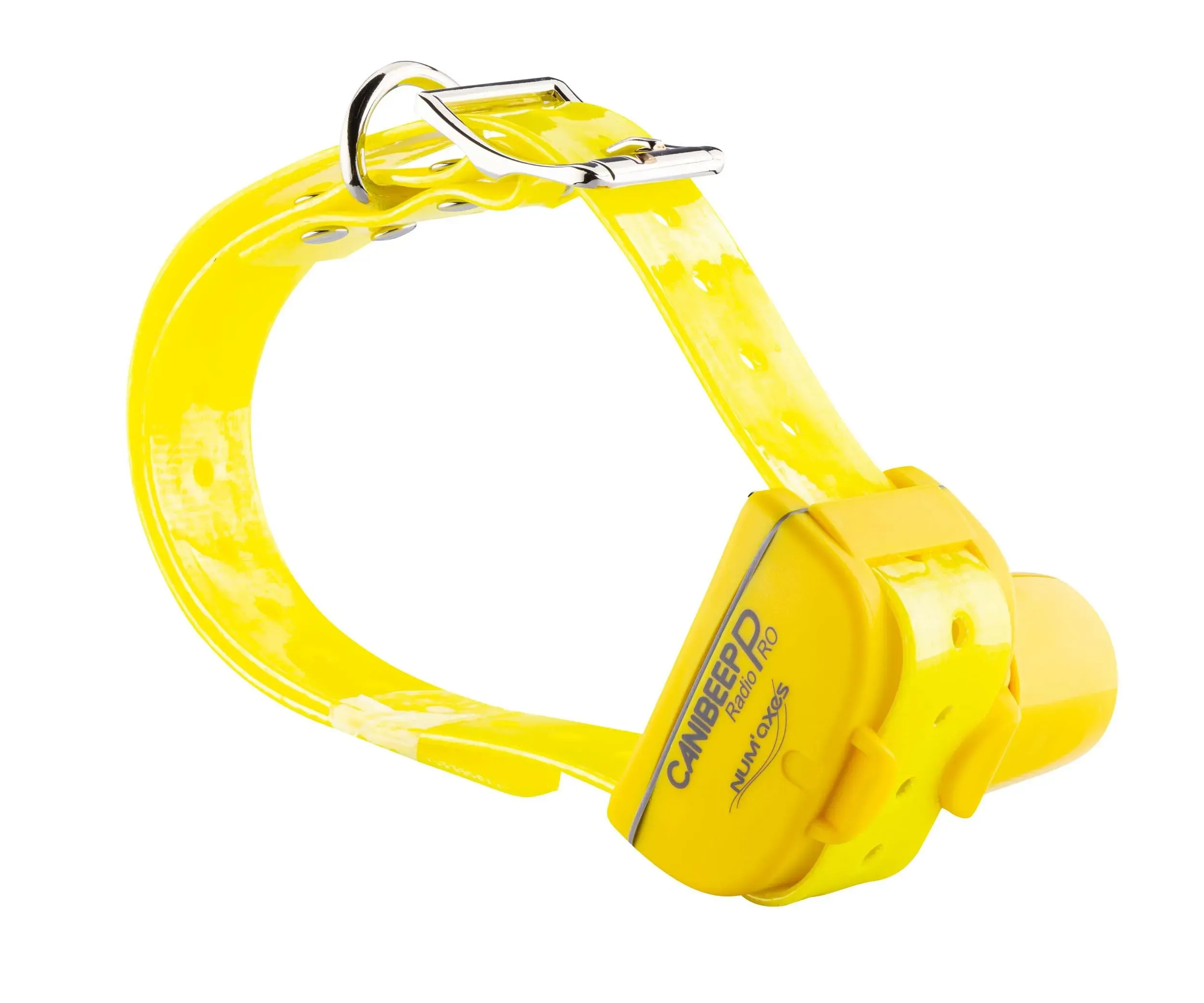 Comment choisir le beeper idéal pour votre chien d'arrêt ?