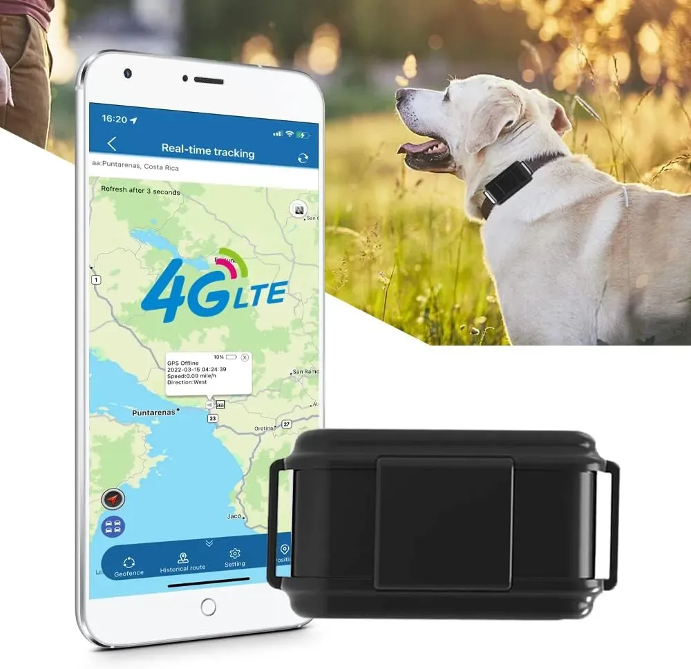 Comment fonctionne un collier GPS pour chien de chasse sur smartphone ?