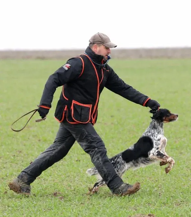 Le bon dresseur chien de chasse : guide essentiel ultime