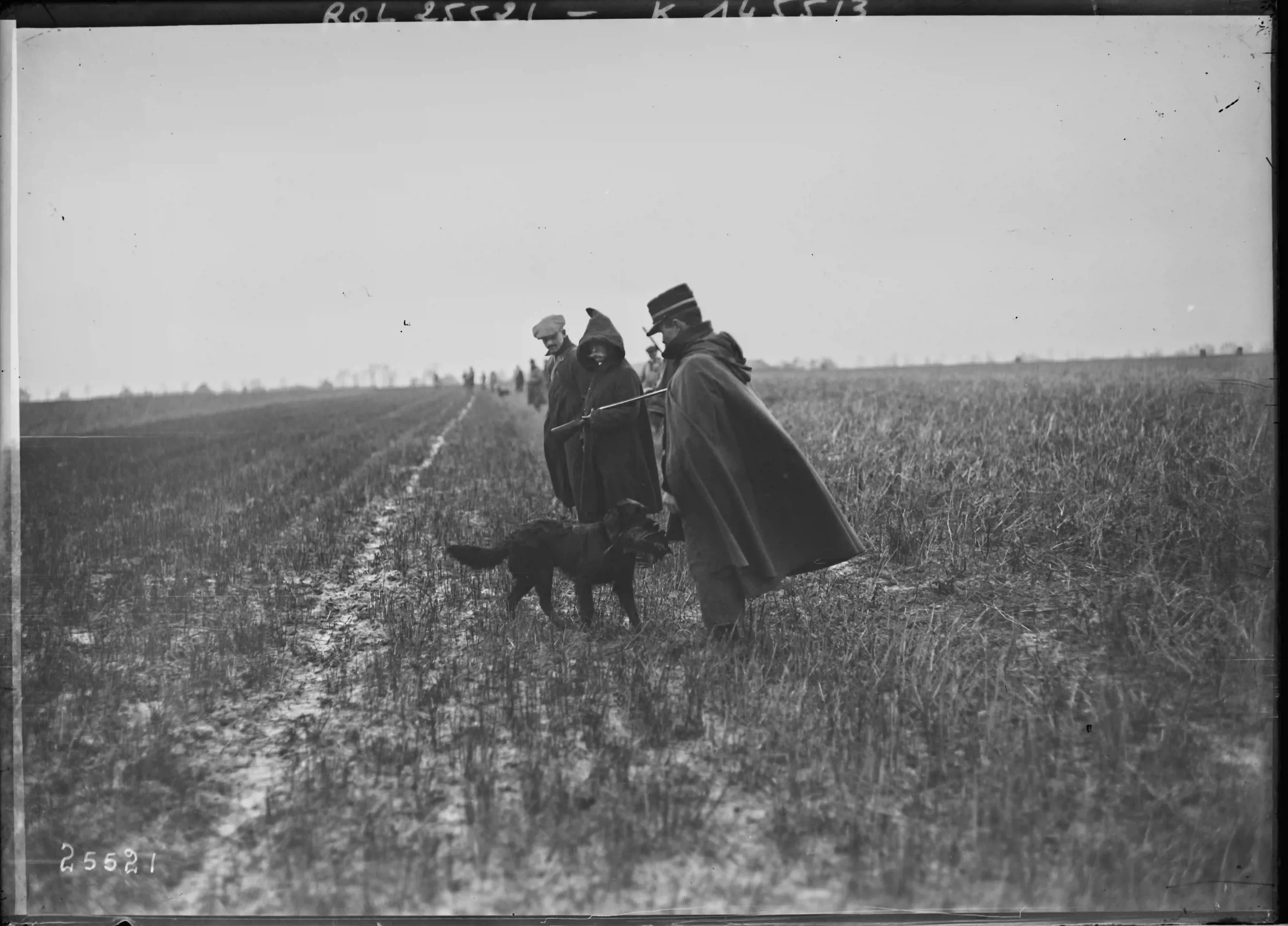 Éducation et entretien de votre chien de chasse à cour
