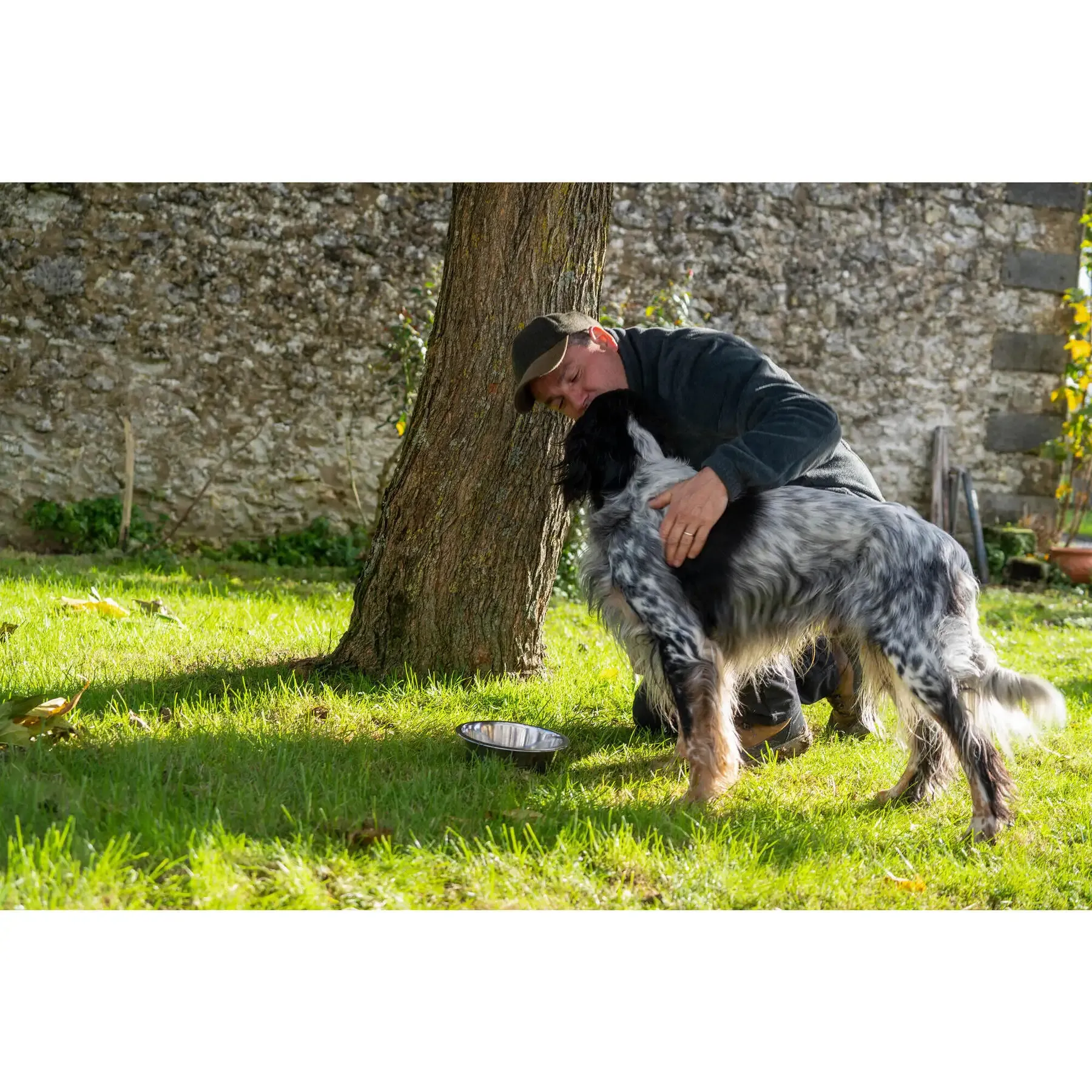 Éduquer un chien de chasse : les étapes clés du débourrage et du rapport