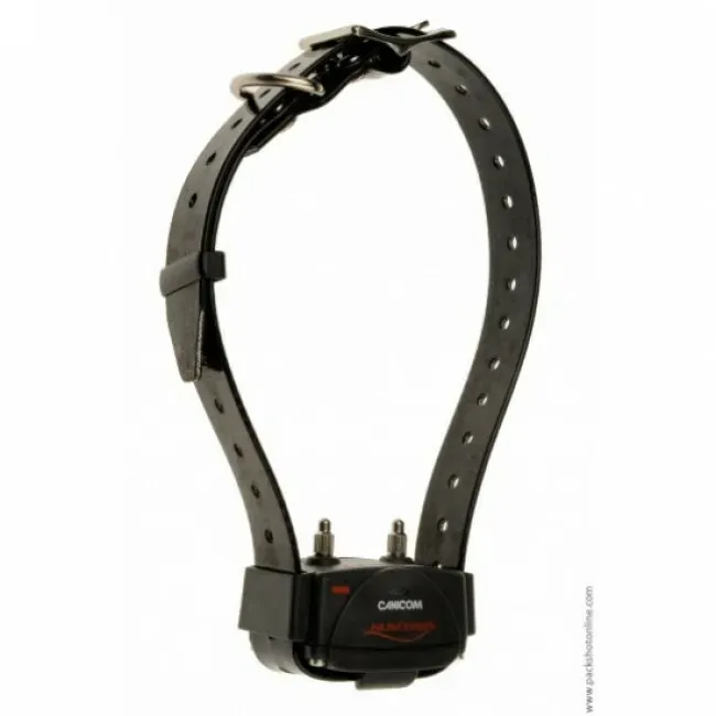 Entretien et durabilité de votre collier pour chien de chasse