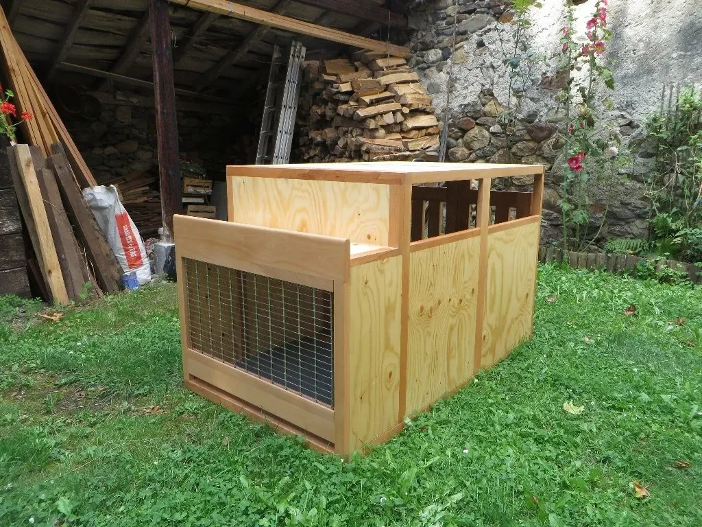 Fabrication caisse à chien de chasse : L'approche experte