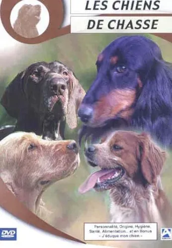 film chien de chasse : Une amitié puissante et vraie