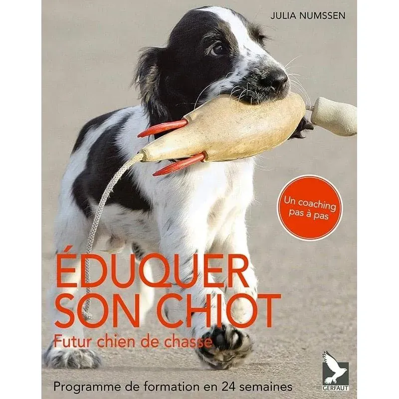Formation chien de chasse: Guide complet pour un succès rapide