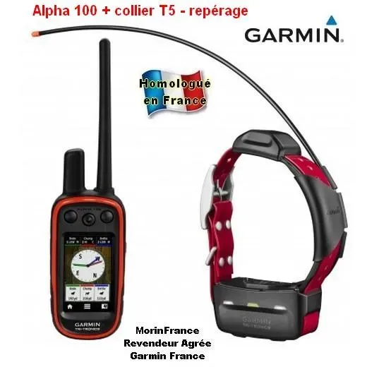 Le collier GPS chien de chasse : un outil indispensable ?