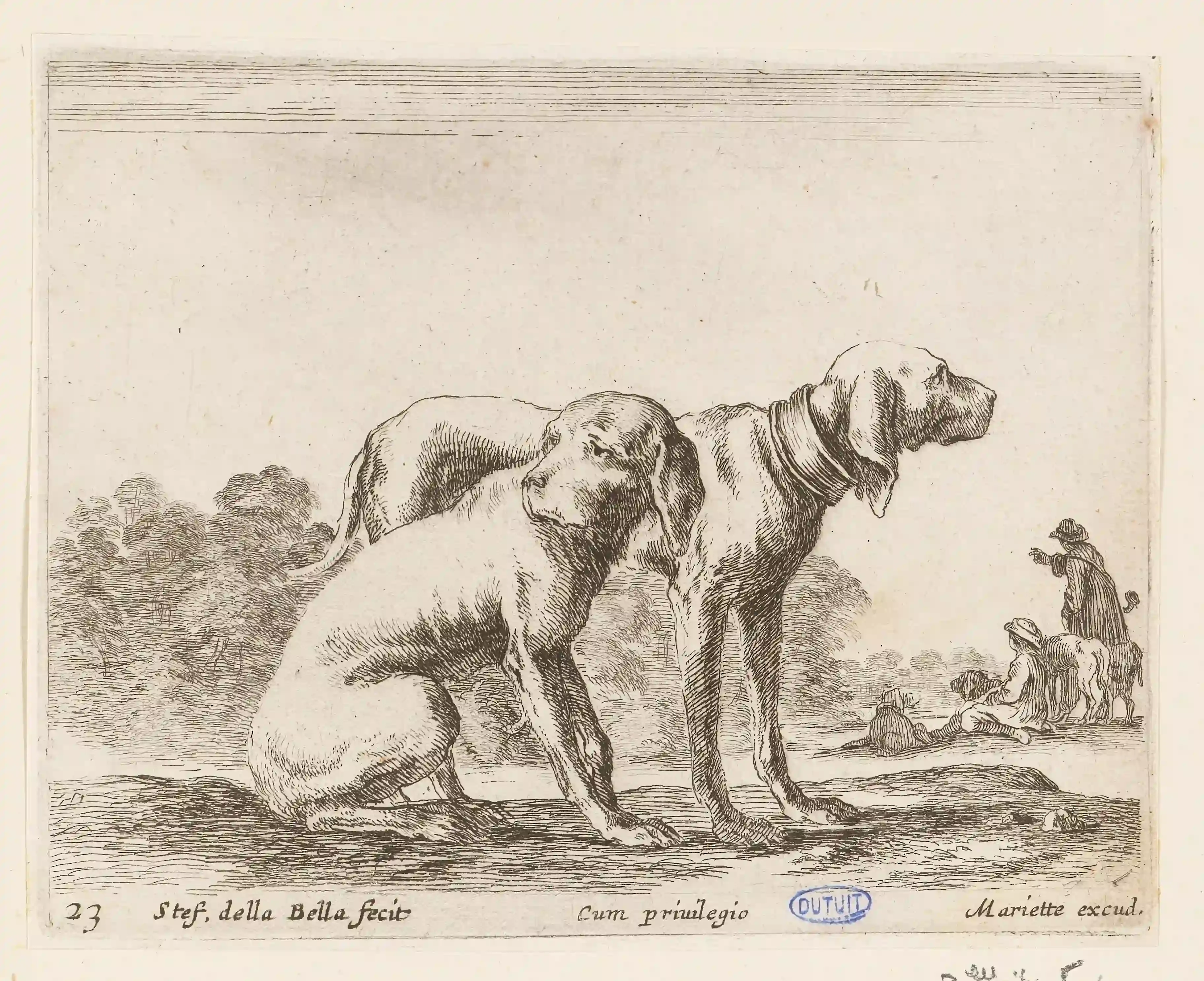 Le rôle essentiel du chien de chasse eau à la chasse