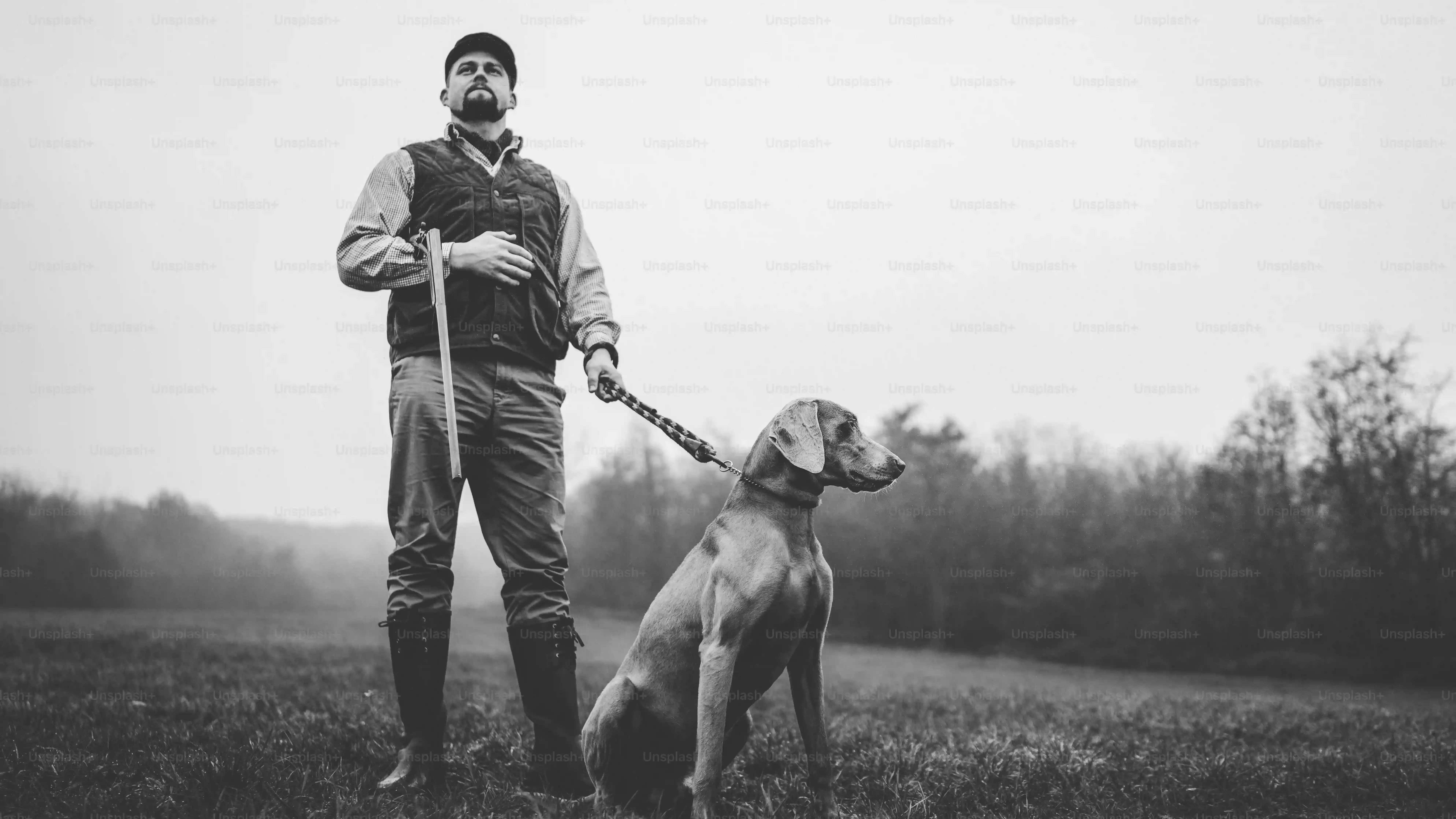 Les bases pour éduquer un chien de chasse : bien démarrer
