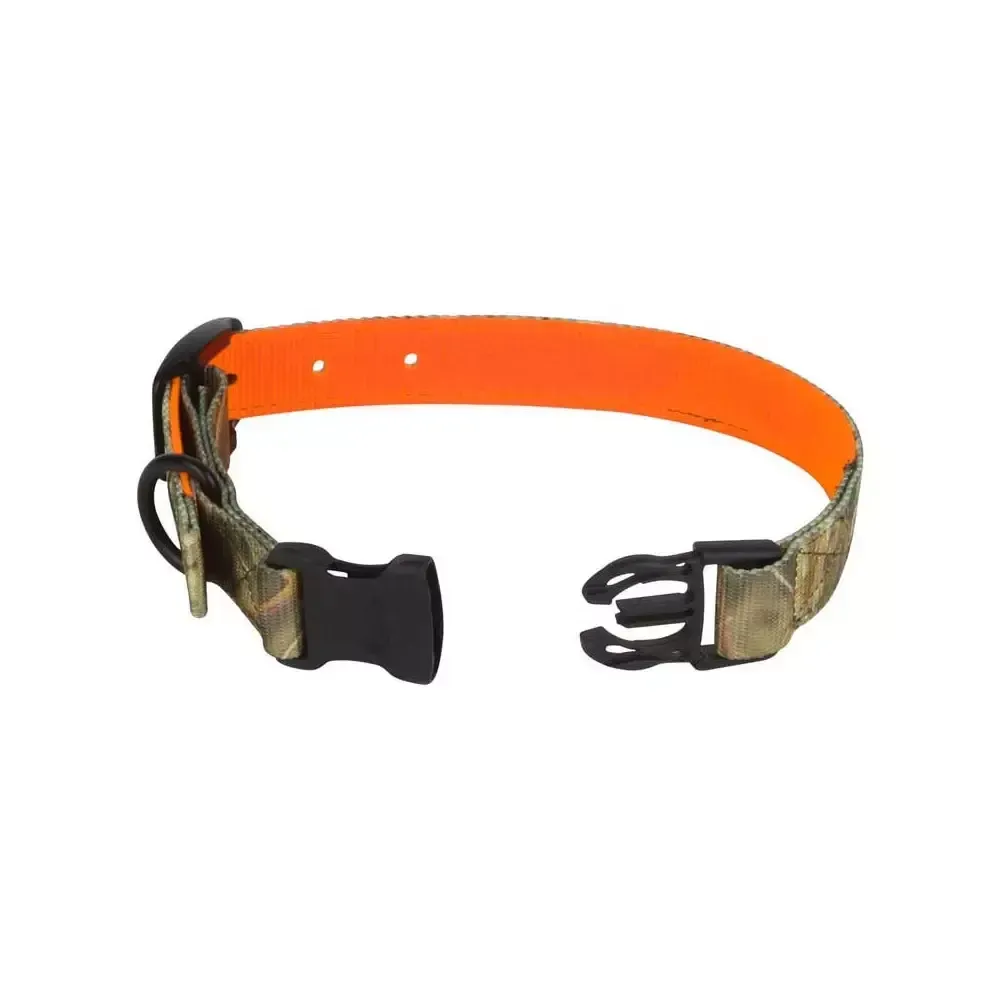 Les différents types de collier chien de chasse et leurs usages