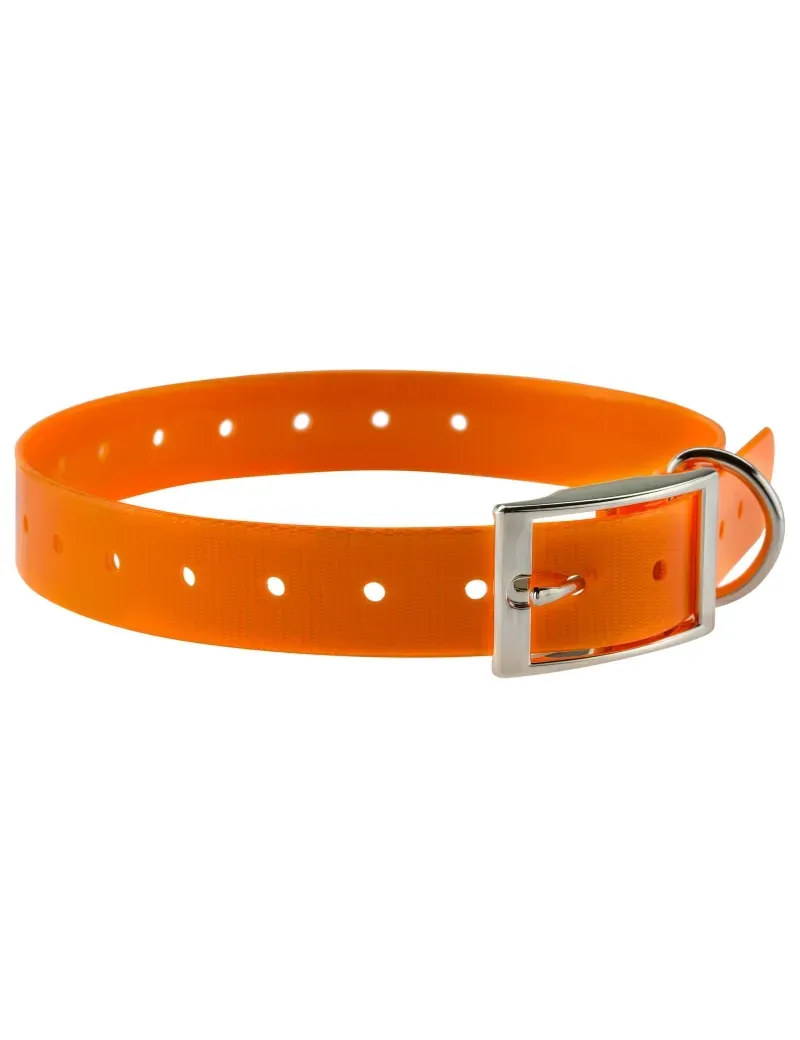 Les différents types de collier pour chien de chasse : Lequel choisir ?