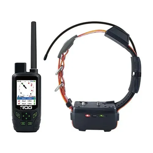 Les différents types de colliers GPS pour chien de chasse