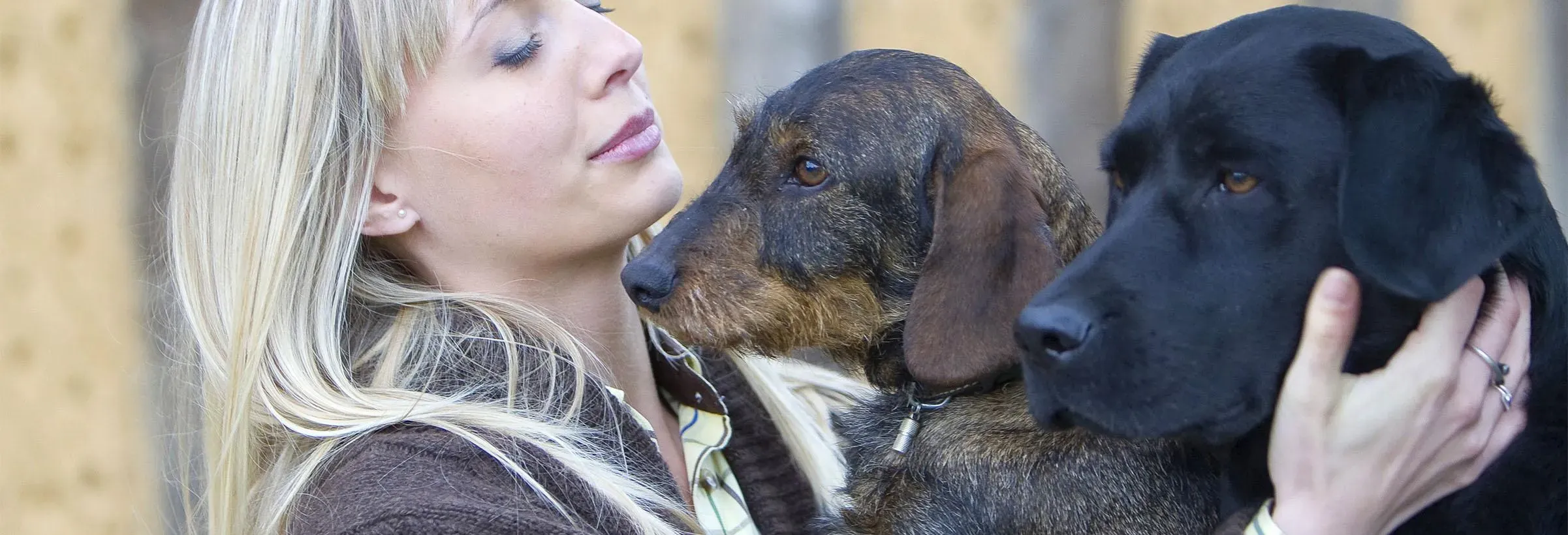Les races de chiens de chasse populaires : Un monde de diversité