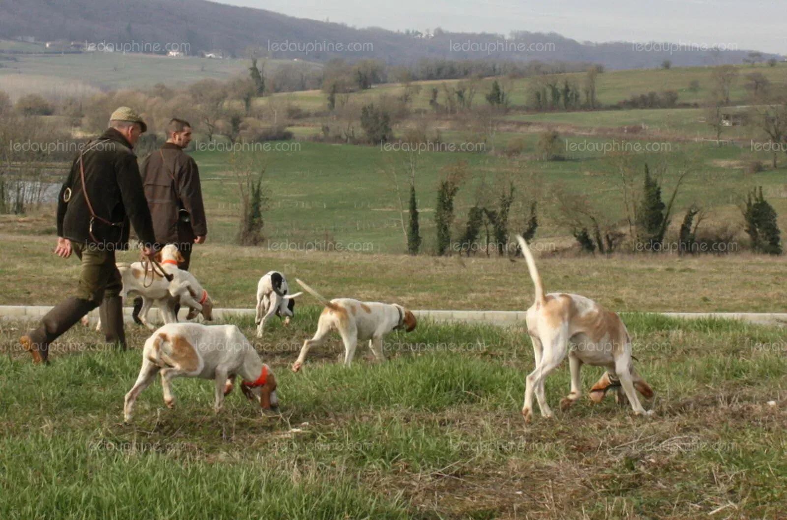 L'histoire derrière l'équipage de chien de chasse à courre