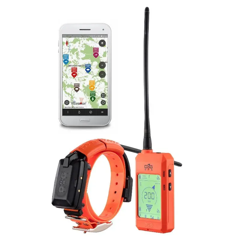 Pourquoi équiper votre chien d'un collier GPS pour la chasse ?