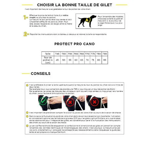 Pourquoi l'assurance chien de chasse est indispensable pour les passionnés