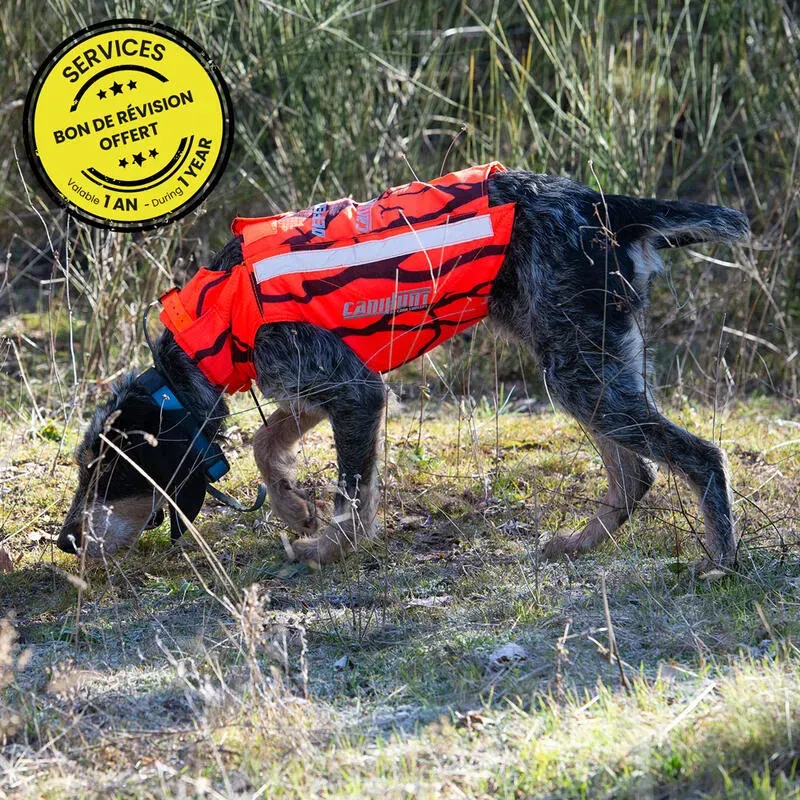 Pourquoi un gilet de protection chien de chasse est essentiel