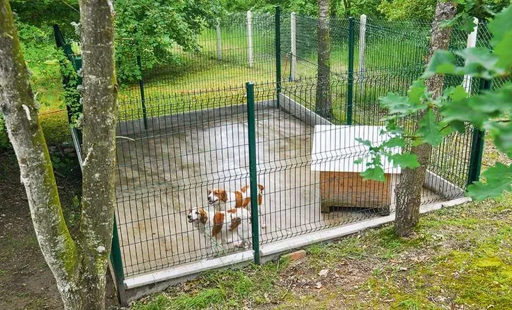 Pourquoi une idée de chenil pour votre chien de chasse ?