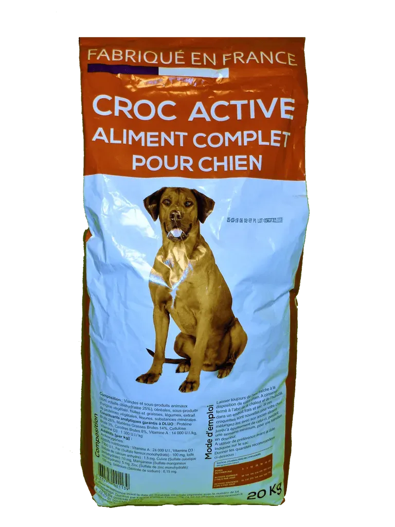 Pourquoi votre chien de chasse a besoin d'une alimentation sur mesure ?