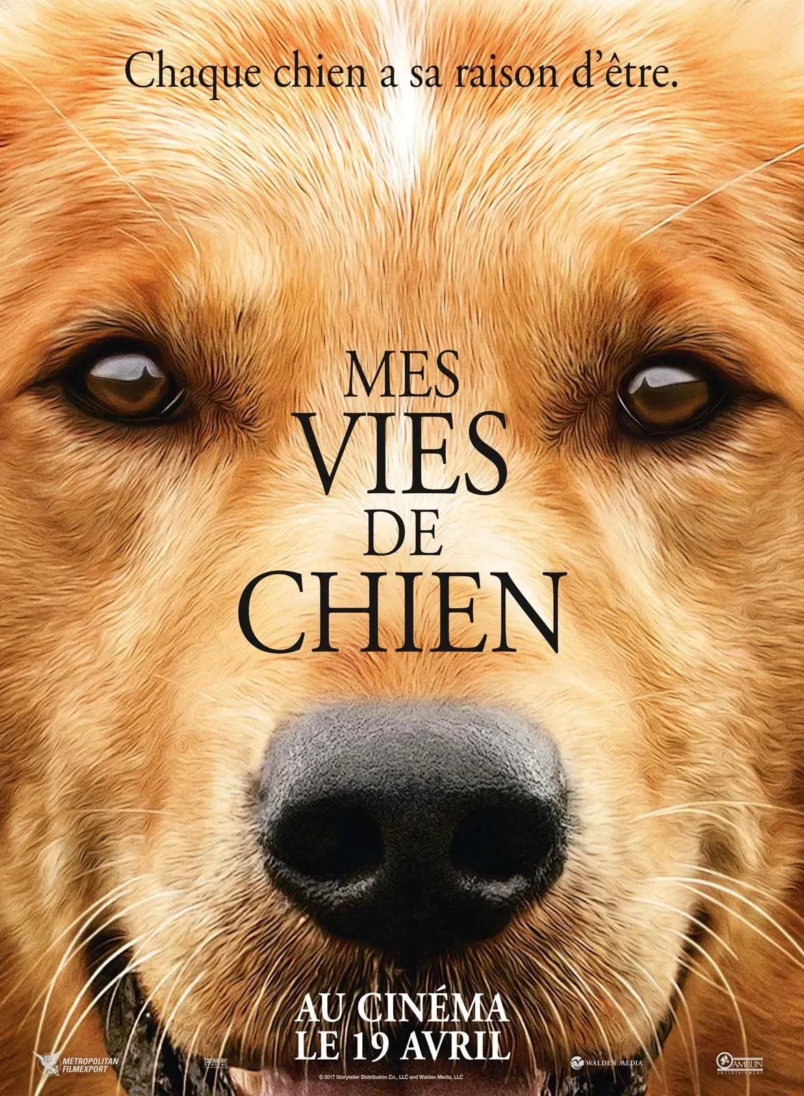 Un Chien Andalou, plus qu'un simple film