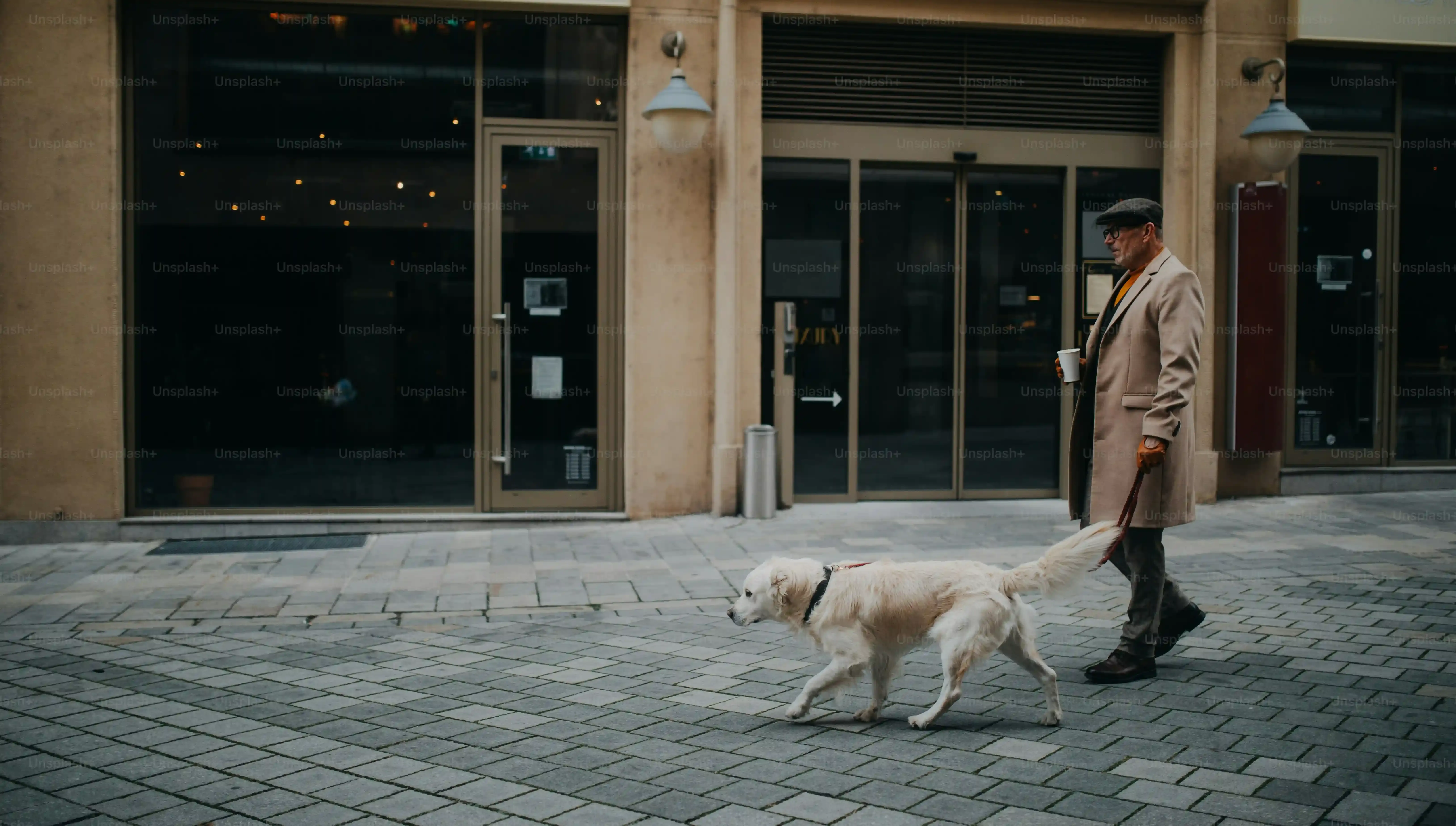Un chien film : L'œuvre culte bizarre et fascinante