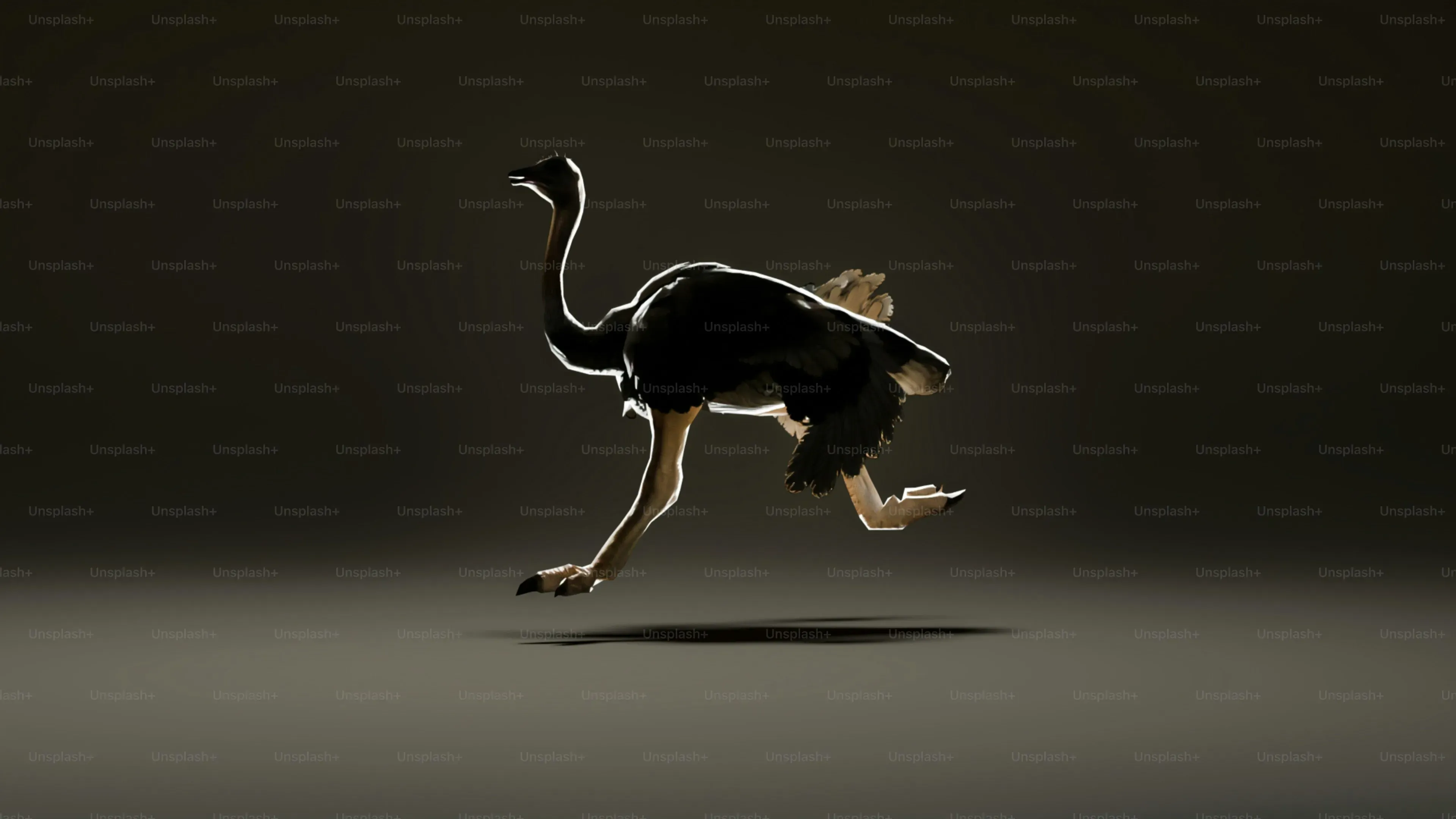 Votre dessin de chien de chasse facile, étape par étape