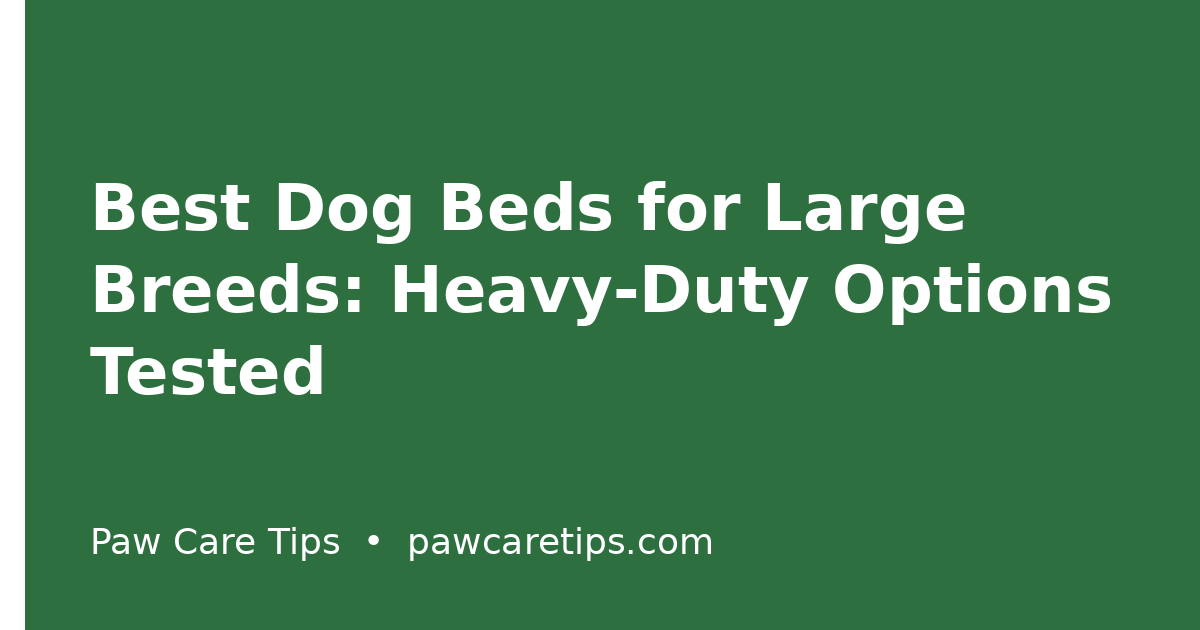 Best Dog Beds for Large Breeds: Heavy-Duty Options Tested