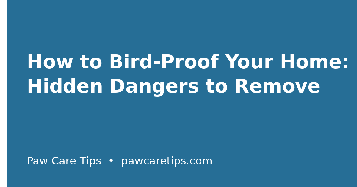 How to Bird-Proof Your Home: Hidden Dangers to Remove