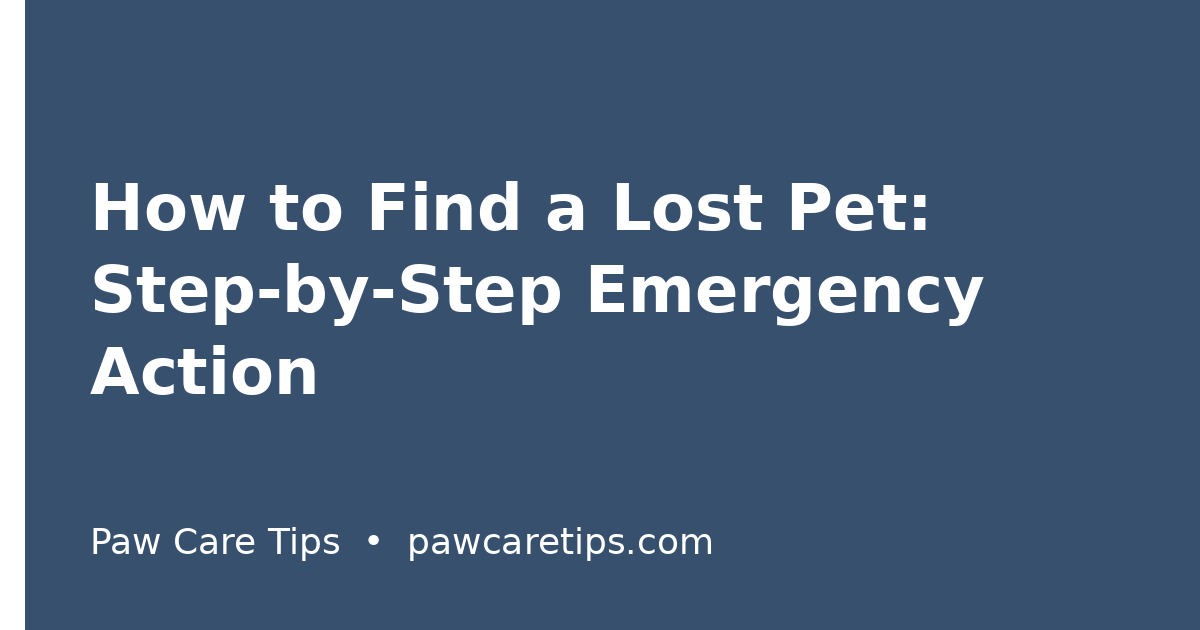 How to Find a Lost Pet: Step-by-Step Emergency Action Plan