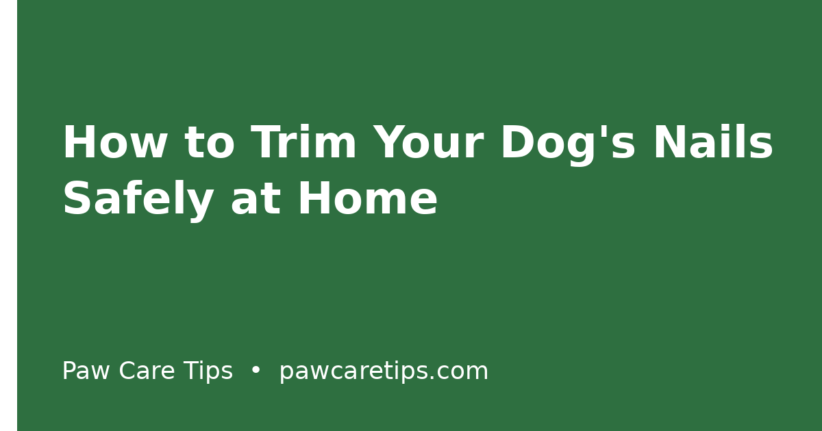 How to Trim Your Dog's Nails Safely at Home