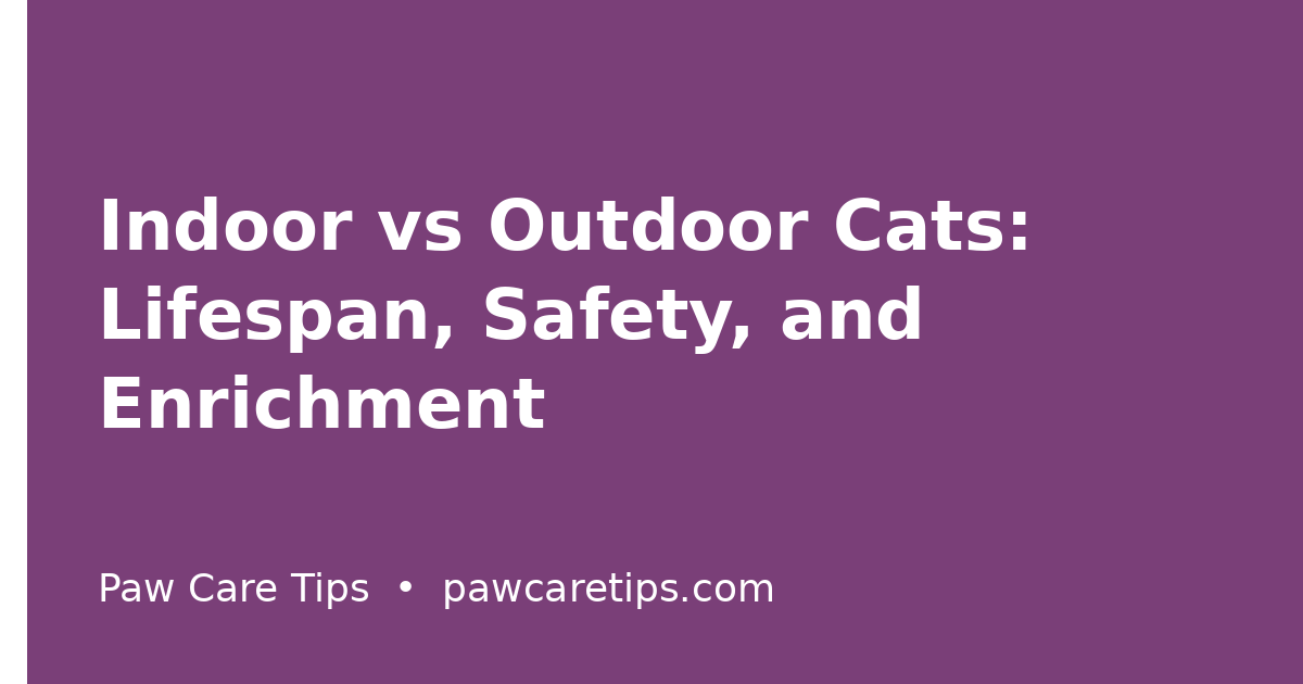 Indoor vs Outdoor Cats: Lifespan, Safety, and Enrichment Compared