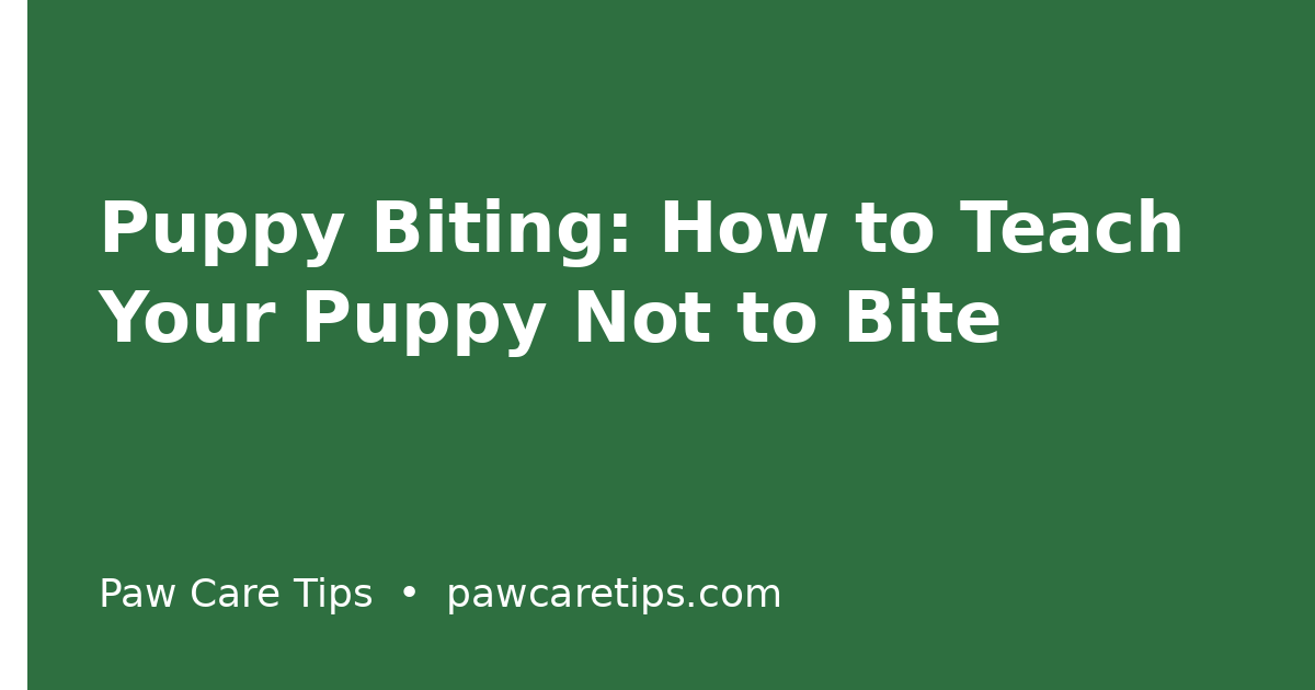 Puppy Biting: How to Teach Your Puppy Not to Bite