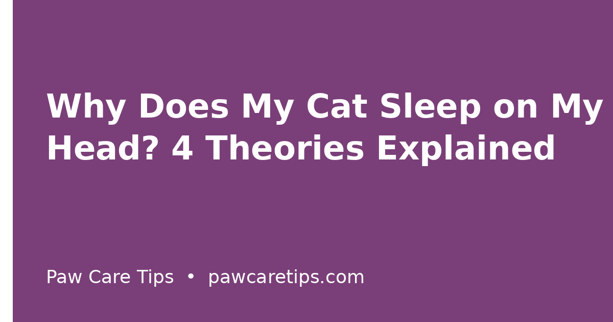 Why Does My Cat Sleep on My Head? 4 Theories Explained